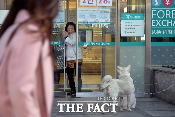 중년 여성이 건물 문 앞에 버티고 있는 개를 보며 경계하고 있다(사진: 더 팩트 제공).