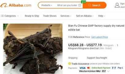 중국 알리바바닷컴에서 판매되는 식용 박쥐(사진: 알리바바 홈페이지 캡처)