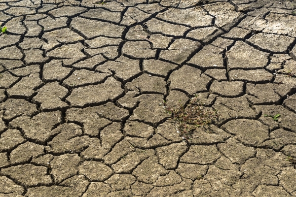 계속되는 가뭄으로 말라 타들어 가는 아프리카 사막화 지역(사진: pixabay 무료 이미지).