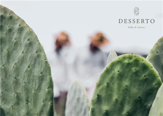 선인장 가죽인 ‘데세르토’를 만드는 데세스토 기업의 공식 홈페이지 화면이다(사진: 데세르토 공식 홈페이지 캡처).