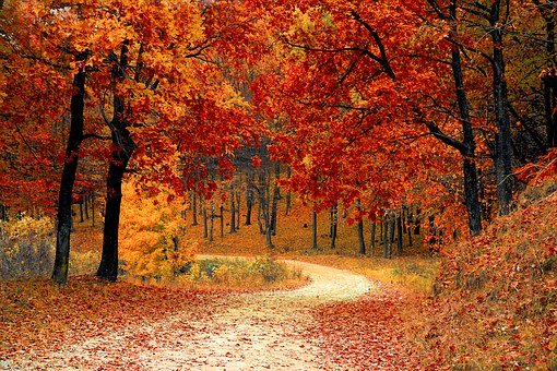 추분이 가고 10월이 목전인데 아름다운 단풍의 계절 가을은 아직 오지 않고 있다(사진: pixabay 무료 이미지).