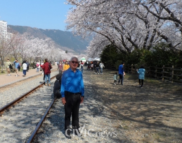 진해 경화역 철길 양옆으로 핀 벚꽃은 천하절경을 이뤄 많은 상춘객들이 사진을 찍는 명소로 알려져 있다(사진: 장원호 박사 제공).