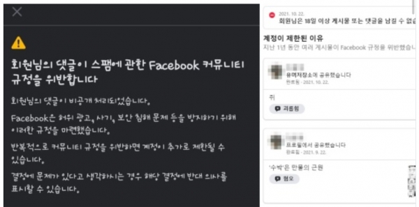 한국에서 페이스북은 명확한 기준 없는 이용제한 조치를 남발, 이용자의 비판을 사고 있다(사진; 제한조치 경고 일부).