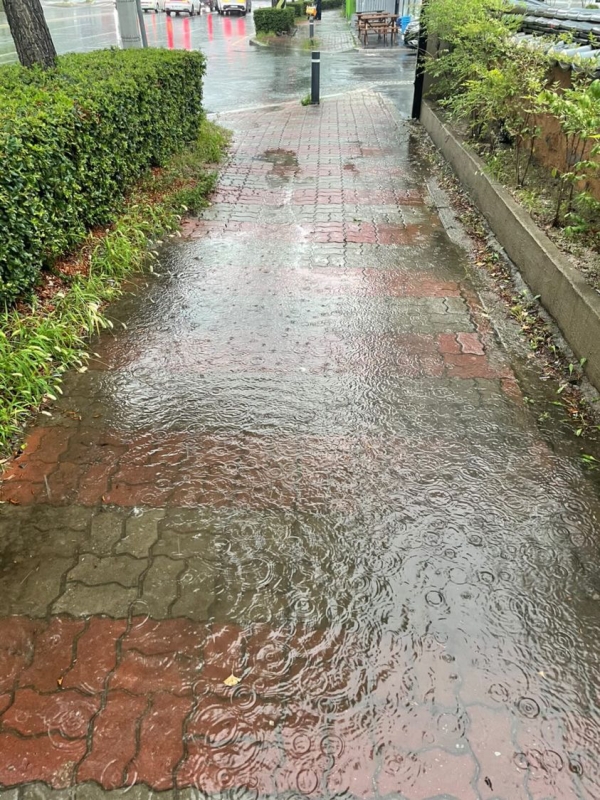 울산 전역에 많은 비가 쏟아져 웅덩이가 만들어지자 시민들은 쉽게 거리로 나오지 못하고 있다(사진: 김주현 씨 제공).