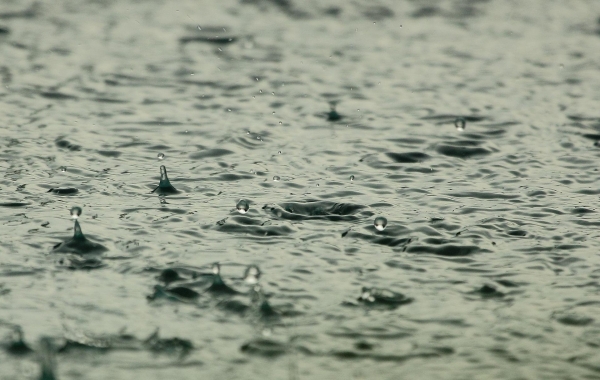 저기압의 영향으로 전국 대부분 지역에 비가 내리겠(사진: pixabay 무료 이미지).