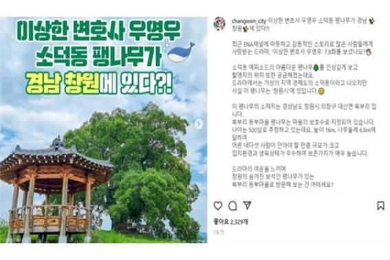 창원시에서 동부마을 팽나무를 홍보하고 있다 (사진: 창원시 인스타그램 캡처).