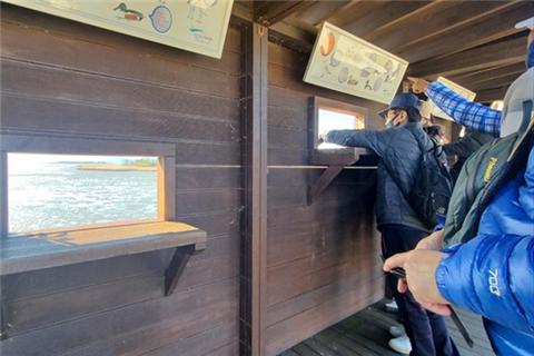 관광객들이 남단 탐조대에서 뚫린 창 너머로 철새를 구경 중이다(사진: 취재기자 김아란).